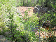 DSCN0380