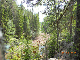 DSCN0383
